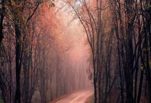 黑白直播在线观看-卡尔蒂斯备战细节曝光，冲击世俱杯全力以赴