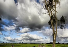 黑白直播网-乌迪内斯战术变阵，球队表现焕然一新