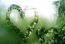 黑白直播在线观看-卡尔蒂斯防守体系升级，迎接关键战