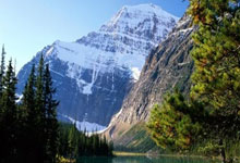 黑白直播在线观看-卡尔蒂斯备战细节曝光，冲击世俱杯全力以赴