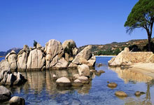 黑白直播网-乌迪内斯战术变阵，球队表现焕然一新