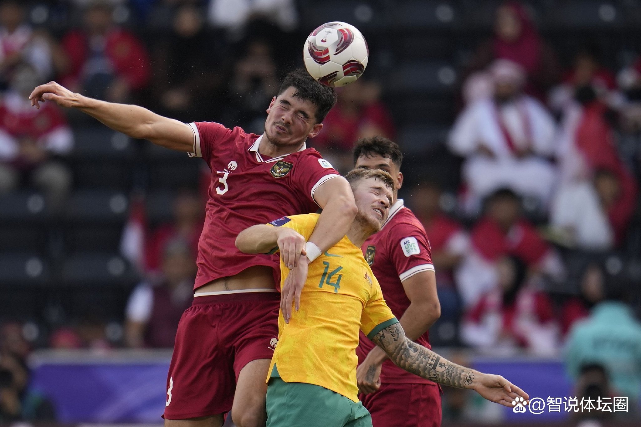 黑白直播免费体育直播-包含沙特阿拉伯运动员在拳击比赛中实现突破的词条