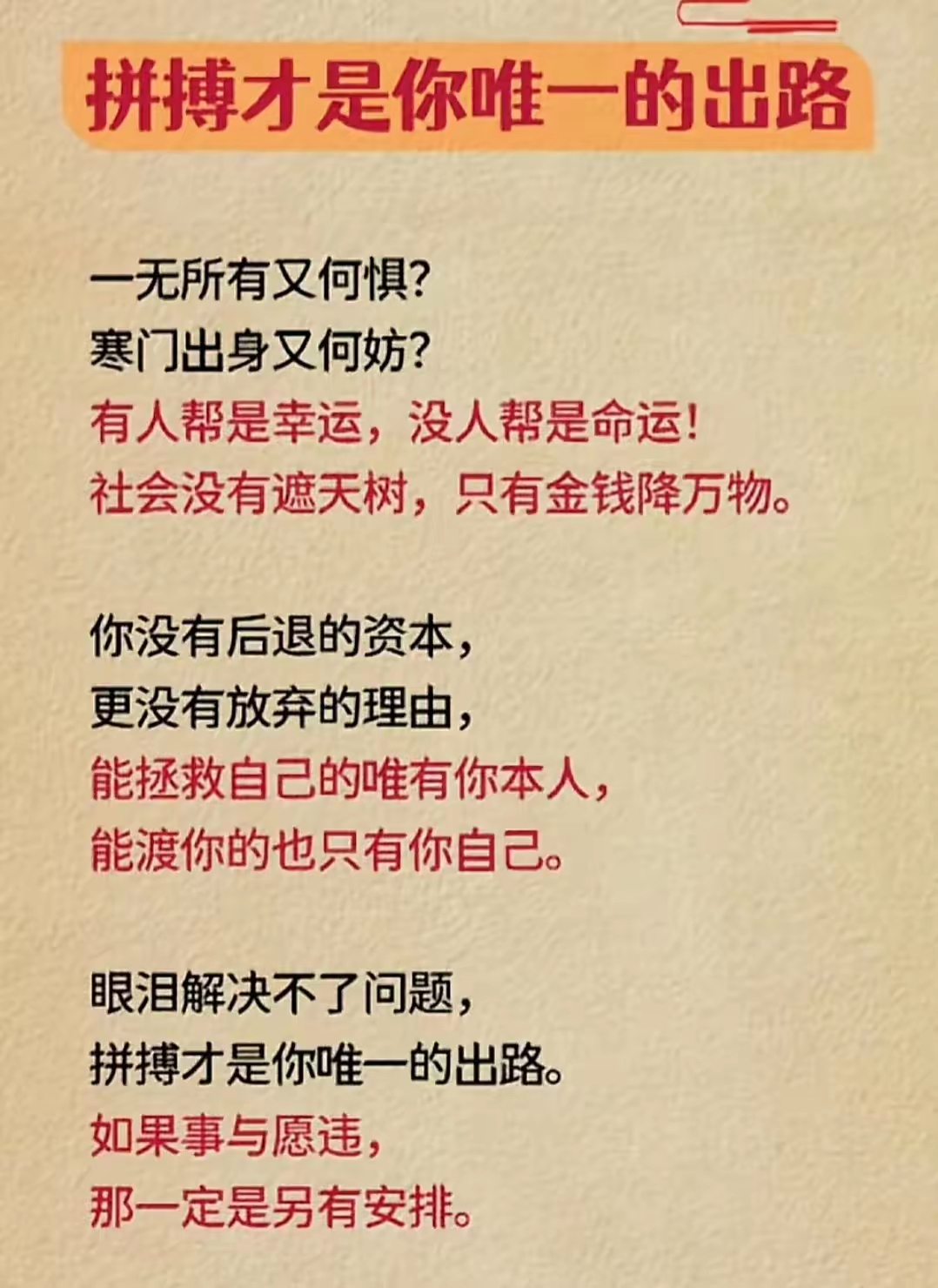 黑白直播在线观看nba-纷争重重，强者最终将脱颖而出的简单介绍