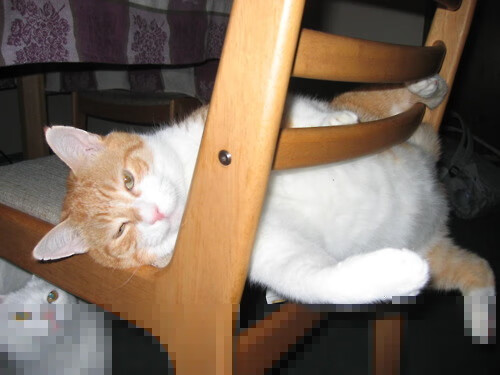 黑白直播在线观看nba-篮球世界双响炮，山西队爆冷斩落国王队，爱德华兹刷新单场得分纪录