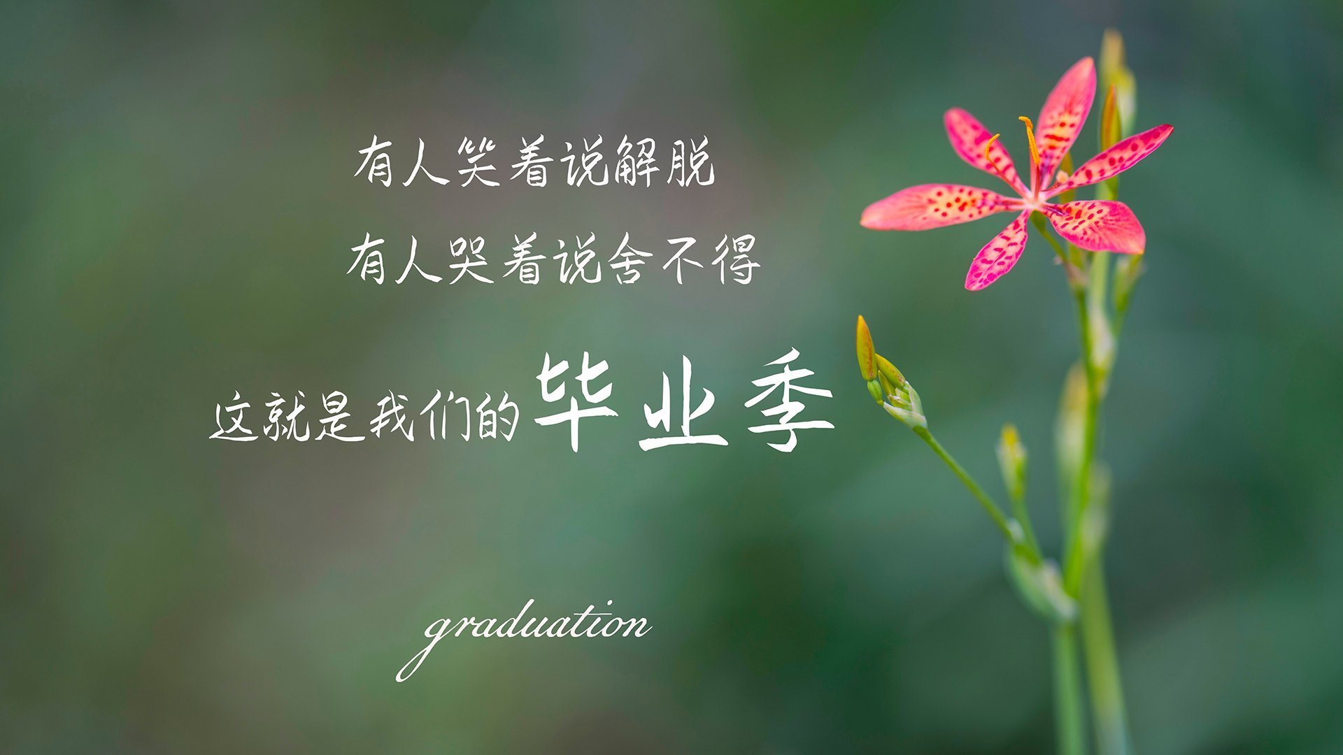 黑白直播-寒冰对阵沙漠，孙兴慜的超新星时刻