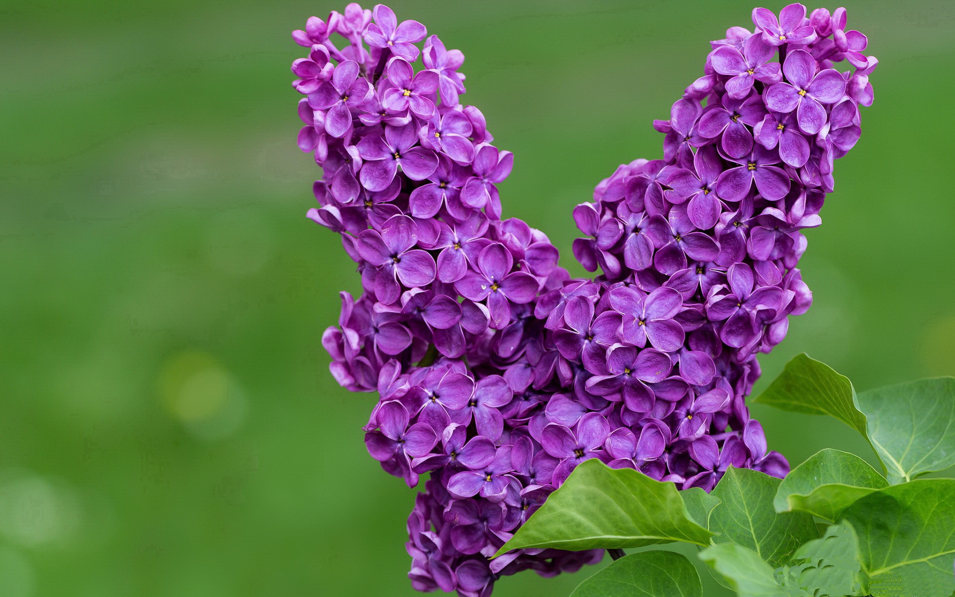 黑白直播nba-格纳布里一剑封喉，拜仁南部之星以战术压制照亮皇家社会