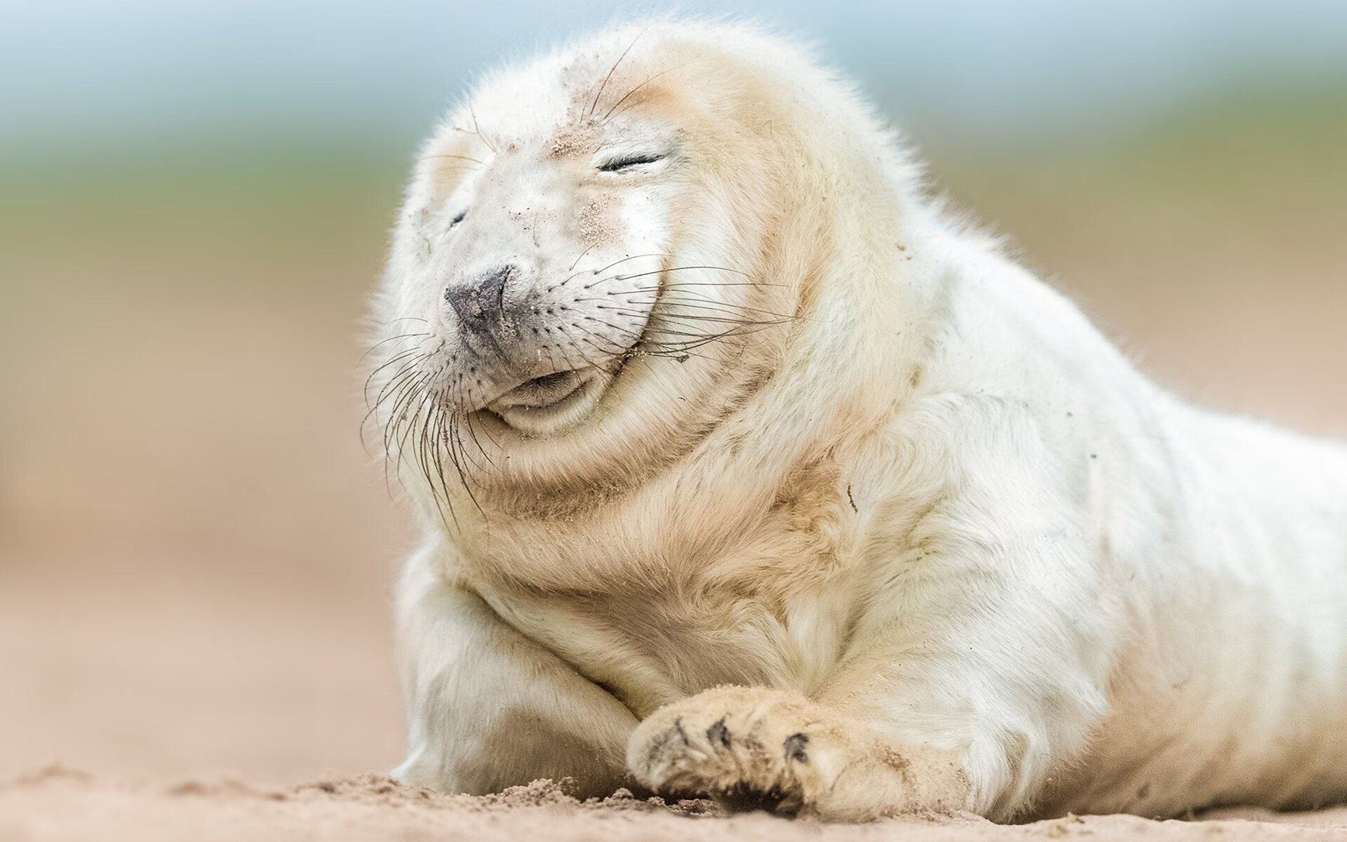 北非风暴席卷亚平宁,摩洛哥之刃如何肢解蓝鹰拉齐奥