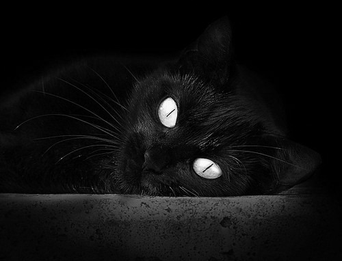 克瓦拉茨赫利亚，于墨、尼漩涡中心，定义大场面先生的孤勇美学