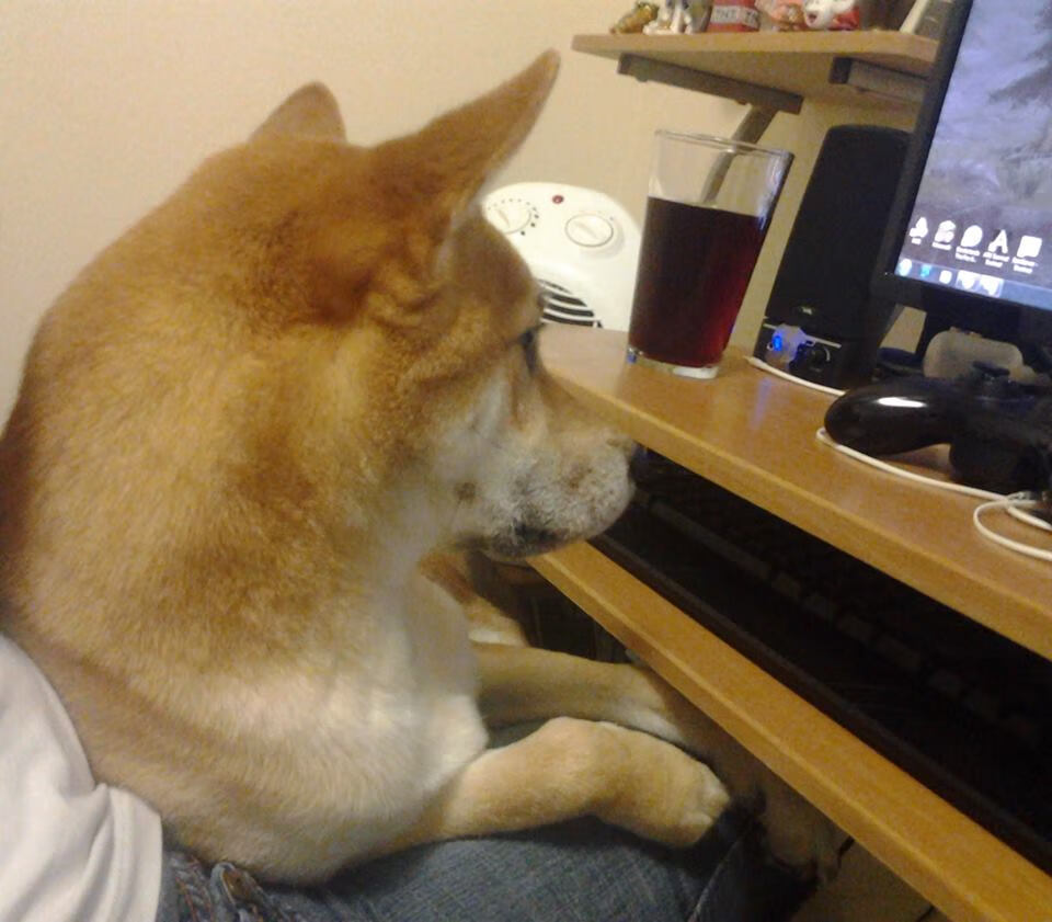 当数据统治赛场,精神同样能够逆天改命