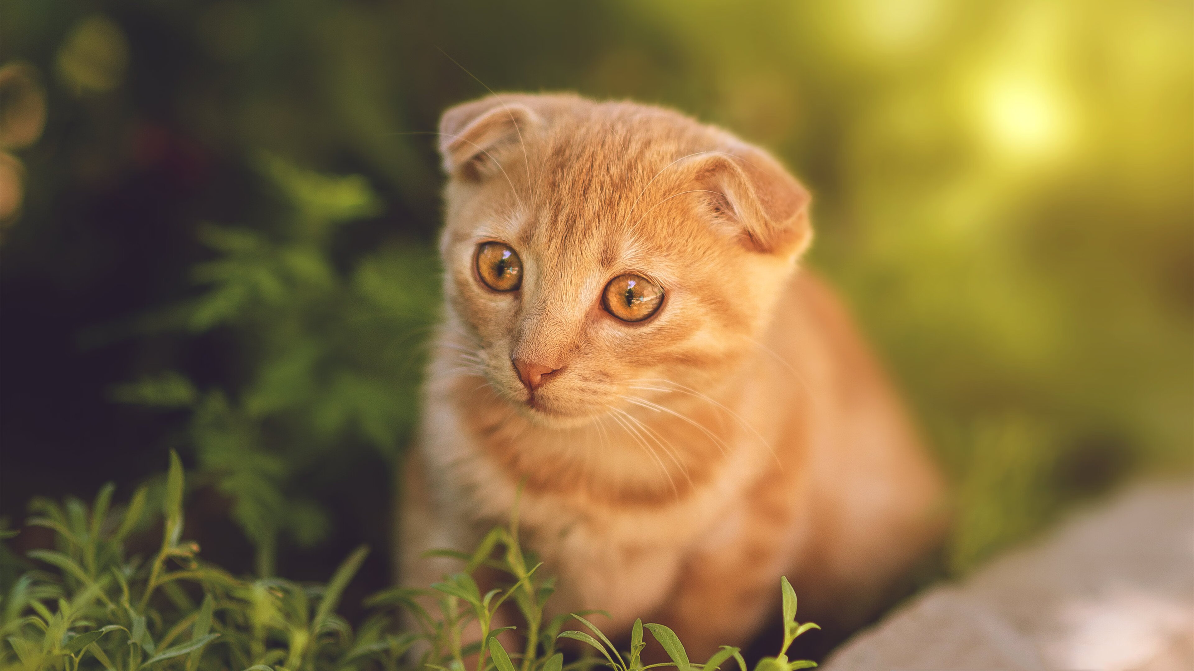 塞维利亚的洪流与格列兹曼的孤峰,当团队碾压遭遇个人神迹
