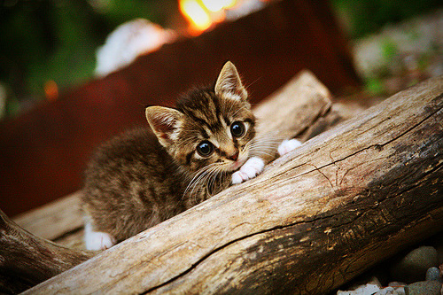 新老对话,当梅西的叹息遇上阿什拉夫的轰鸣