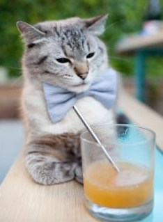 钢铁意志的加冕,布鲁诺以战神之姿率尼日利亚在世界排名决战中掀翻阿根廷