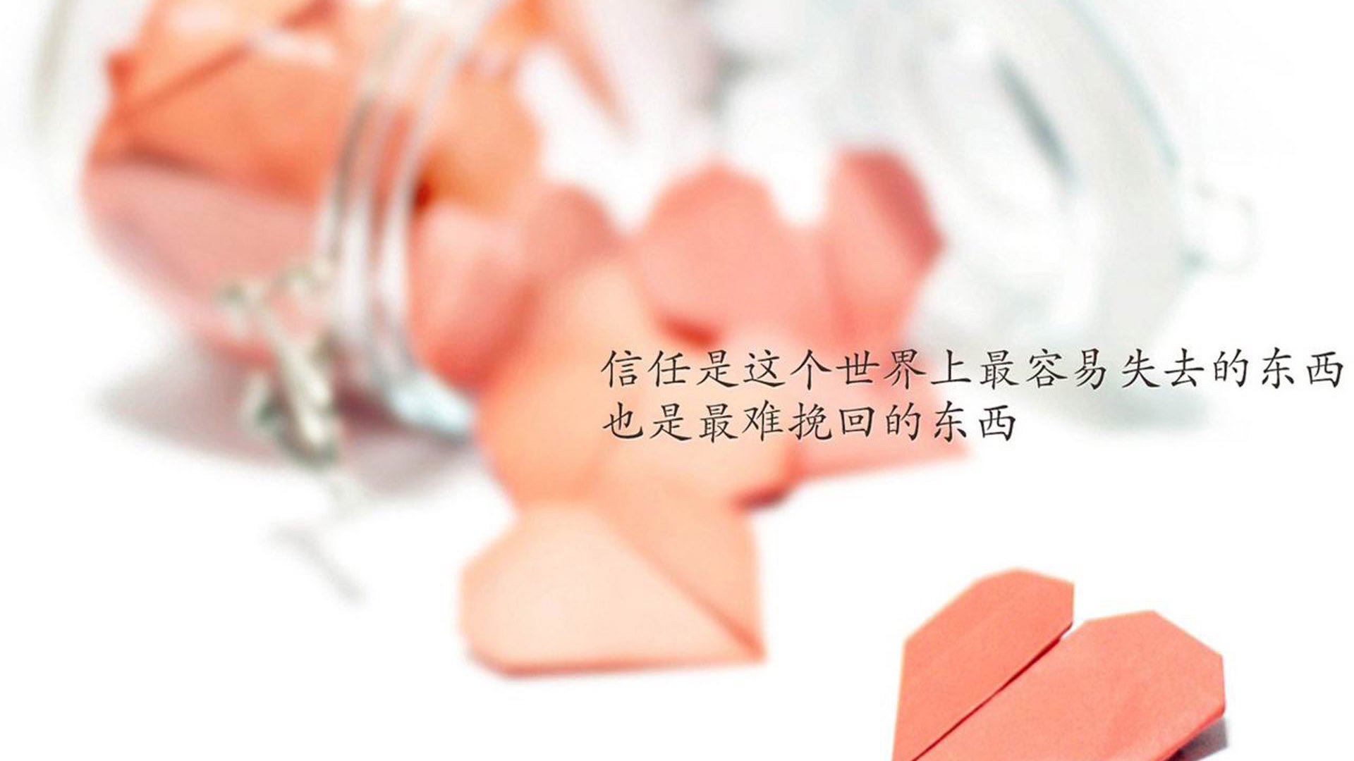 终结者小贾伦,一记封喉三分背后的篮球道场