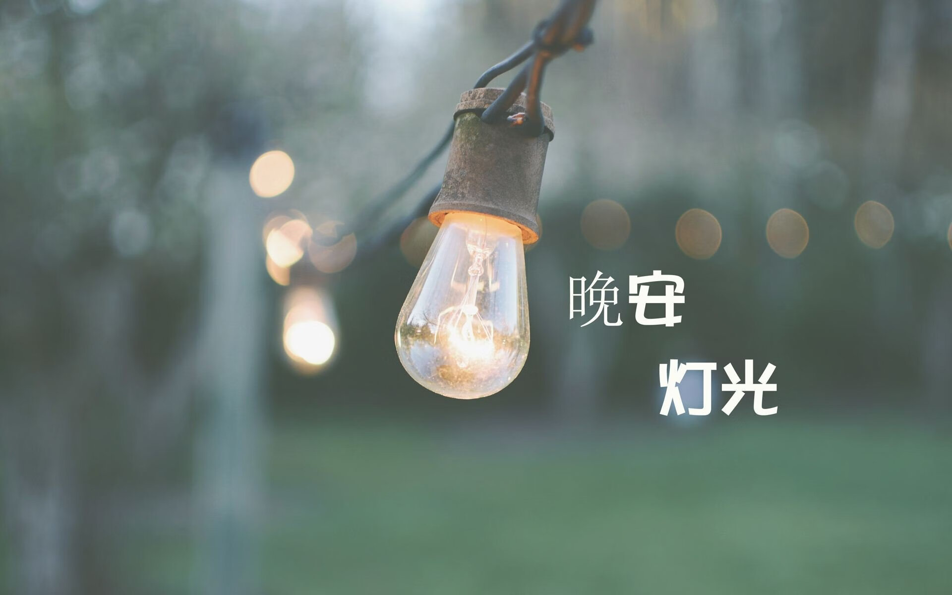东欧铁骑踏破红魔,莱万三箭定江山—2026世界杯E组关键战保加利亚完胜比利时纪实